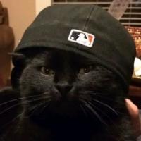 Retro.Films.TV.Series .