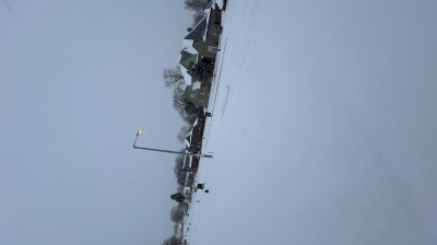 Trinity/ Naomi best matches