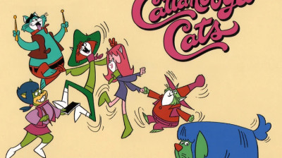 I gatti di Cattanooga