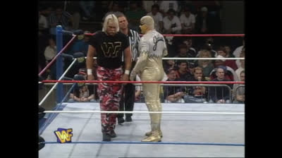1996.11.04 ⭐ Goldust vs Stalker ⭐ WWF Raw