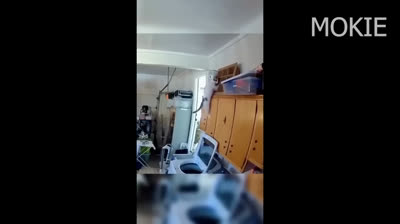 ¡Crónicas del Bromista Definitivo!