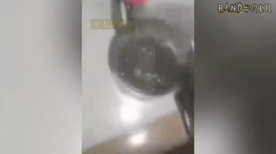 ¡Locuras en la Carretera: Risas sobre Ruedas!