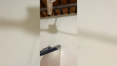 ¡Desafíos Ridículos: Riendo hasta el Final!