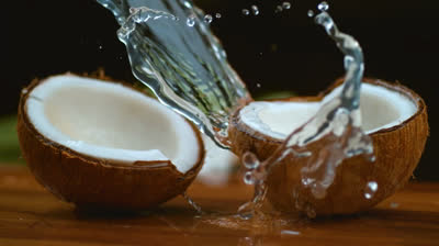 Silencio en Movimiento: Instantes Eternos en Cámara Lenta