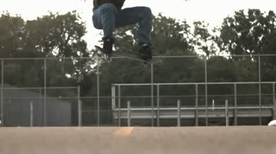 Belleza en Reposo: Momentos Detenidos en Cámara Lenta