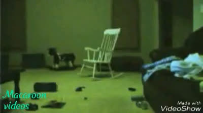 Encuentros Inesperados: Terror Registrado en Cámaras de Vigilancia