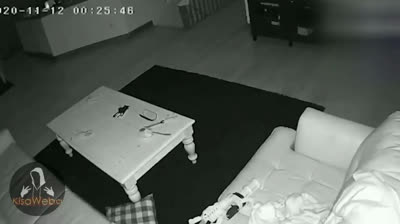 Visiones del Terror: Efectos Paranormales en Vídeo