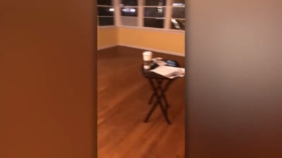 Cámaras del Miedo: Encuentros Paranormales en Acción