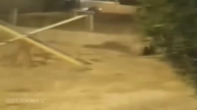 Vídeos de miedo | Edición noche