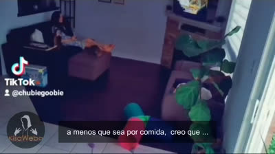 Vídeos de terror escalofriantes