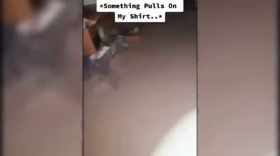 Vídeos de terror sin filtro