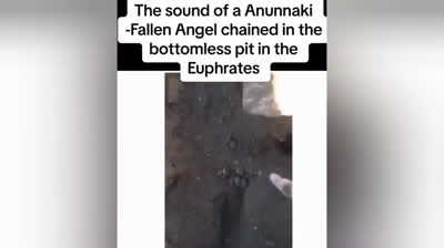 TOP 5 vídeos de miedo