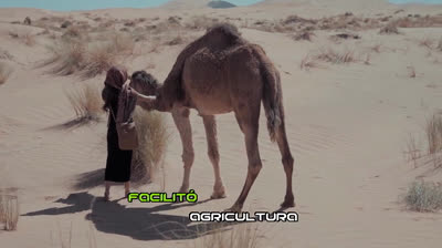 Descubre los experimentos más importantes en la historia de la tecnología