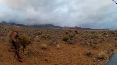 Los experimentos más importantes de la historia de la medicina