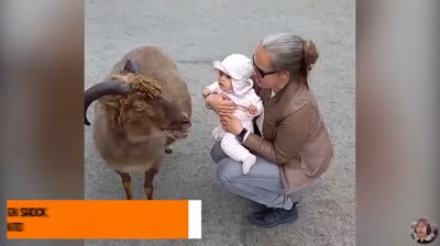 Bebés en su mejor versión: ¡la comedia está asegurada!