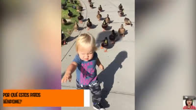 ¡Caiditas adorables! Risas garantizadas con los tropiezos de los más pequeños