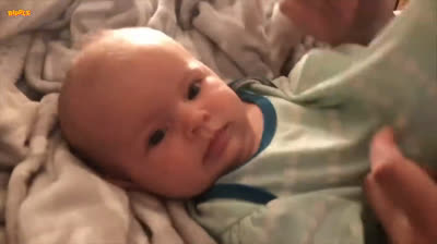 ¡Bebés en acción! Travesuras y caídas que te dejarán sin aliento