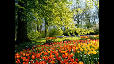 "Rincones Escondidos del Planeta: Belleza sin Igual"