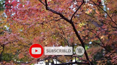 "Belleza sin Igual: Lugares Emblemáticos del Planeta"