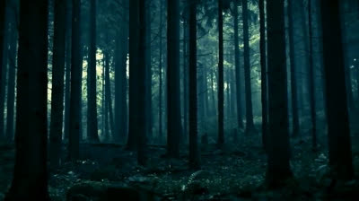 "Destinos de Ensueño: Lugares que Dejan Huella"