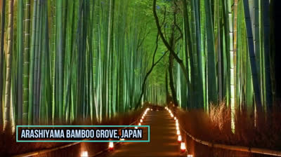 "Belleza en Cada Esquina: Lugares de Fascinación Mundial"