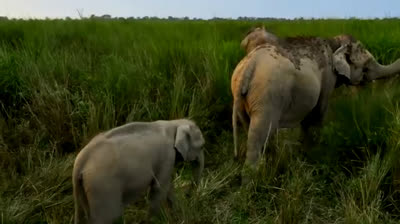 "Perspectivas Globales: Lugares que Cambiarán tu Visión del Mundo"