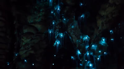 "Maravillas en Escena: Lugares que Roban el Corazón"