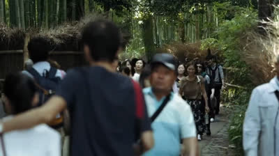 "Belleza en Movimiento: Lugares que Inspiran Viajes"