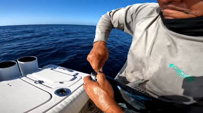 Conquistando el Horizonte: Epopeyas de la Pesca Deportiva