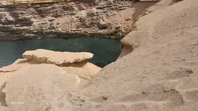 El Rugido del Océano: Aventuras de Pesca Extrema