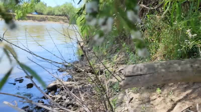 Al Encuentro del Desafío: Travesías Pesqueras