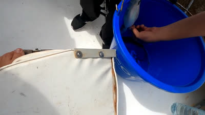 El Sonido del Silencio: Momentos de Reflexión en el Mar