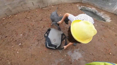 Aventuras sin Fronteras: Historias de Pescadores Viajeros