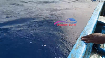 Travesías Nocturnas: Secretos del Mar Revelados