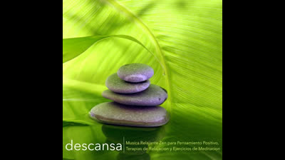 Tranquilidad en la Ciudad: Música Ambiental Urbana