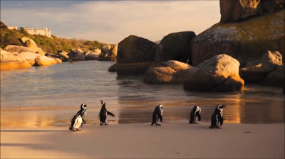 Respiro de Tranquilidad: Música para la Ansiedad