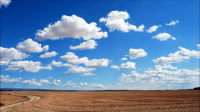 Esencia del Zen: Música para la Armonía Interior