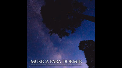 Profundidades del Alma: Melodías para la Introspección