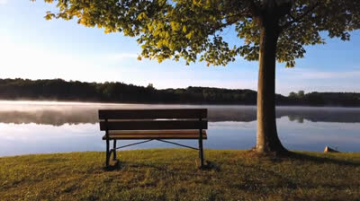 Oasis de Tranquilidad: Música para el Reposo