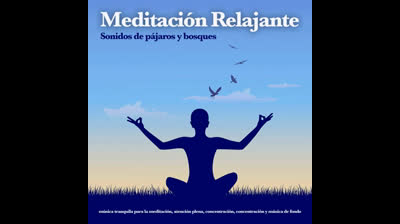 Eco del Silencio: Música para la Serenidad