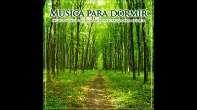 Melodías del Bienestar: Sonidos para el Equilibrio