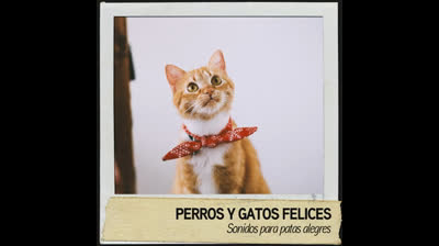 Resplandor del Alma: Música para la Inspiración