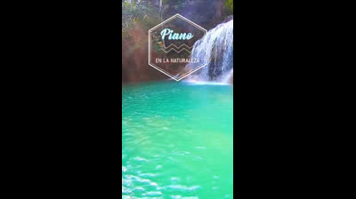 Refugio del Silencio: Sonidos para la Meditación Profunda