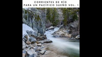 Travesía del Silencio: Melodías para la Paz Interior