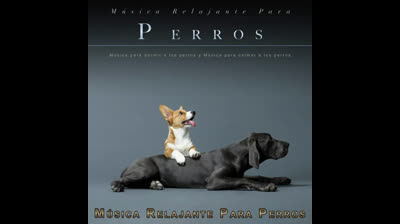 Susurros del Ocaso: Sonidos para la Serenidad Nocturna