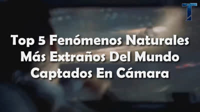 Impacto Visual: Daños Registrados por Cámaras