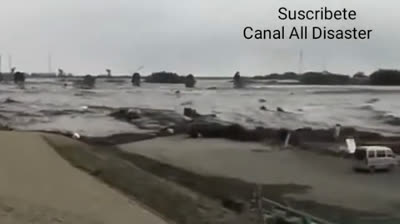 Escenas de Pánico: Supervivientes ante Tsunamis