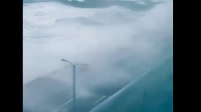 De Frente al Peligro: Vídeos de Personas ante Catástrofes