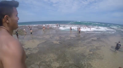 En el Fuego Cruzado: Vídeos de Incendios Forestales