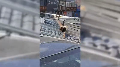 Vídeos de Desastres Naturales: El Poder de la Madre Naturaleza